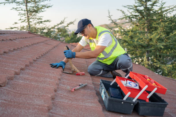 Best Residential Roofing Contractor  in Cayuga, IN