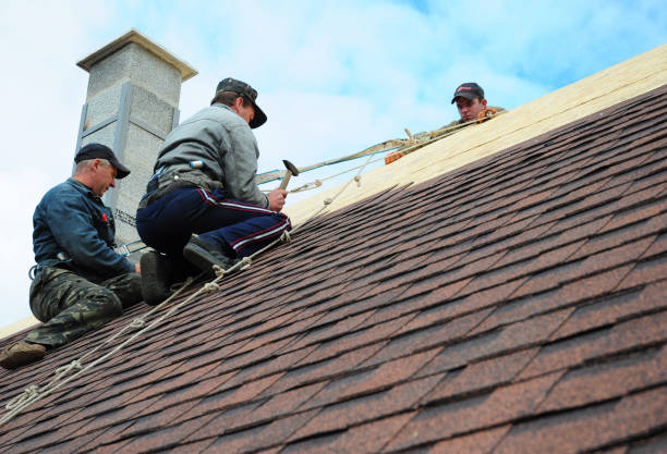 Best Roof Maintenance Services  in Cayuga, IN